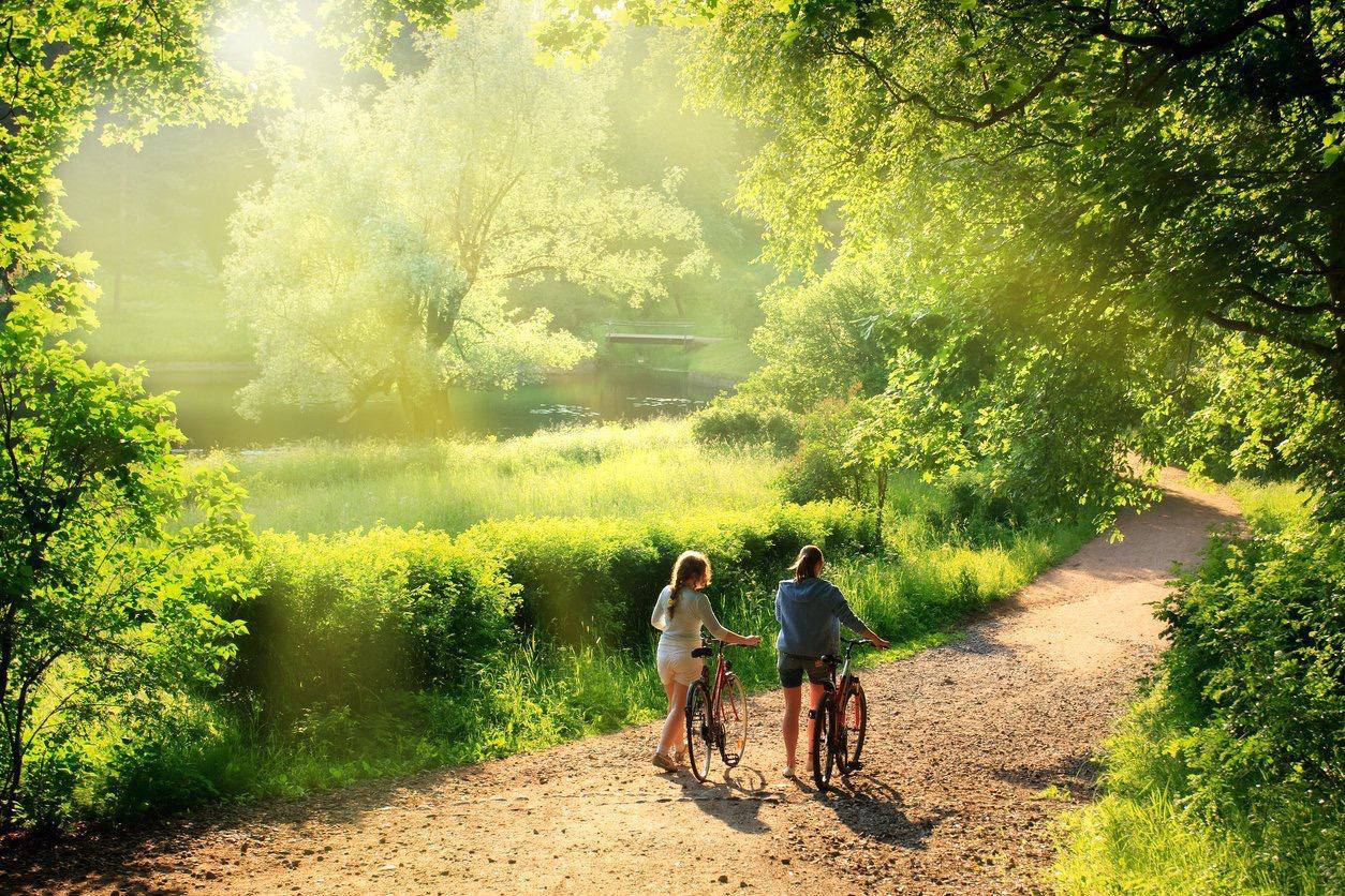 Comienza la vida: Paseos y salud